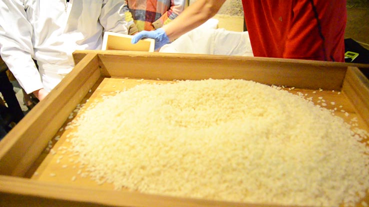 麹づくりワークショップ